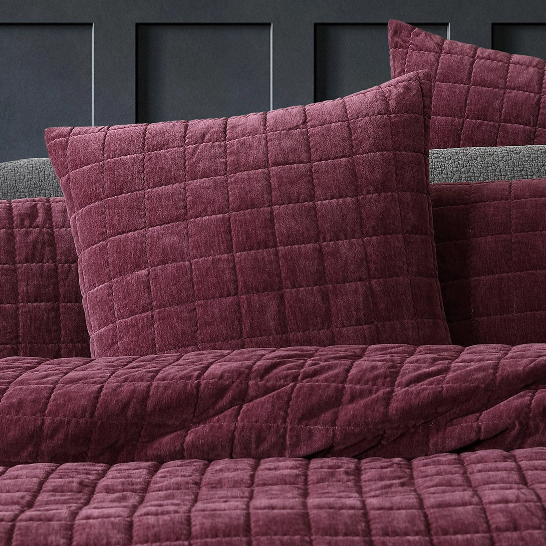 Apollo Plum Square Cushion by Logan and Mason Platinum