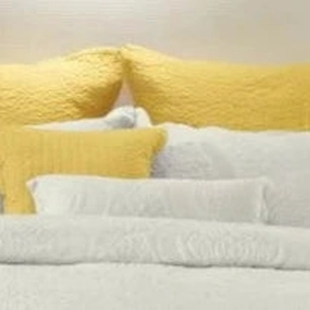 Flavia Snow White Long Cushion (30 x 60cm) by Bianca