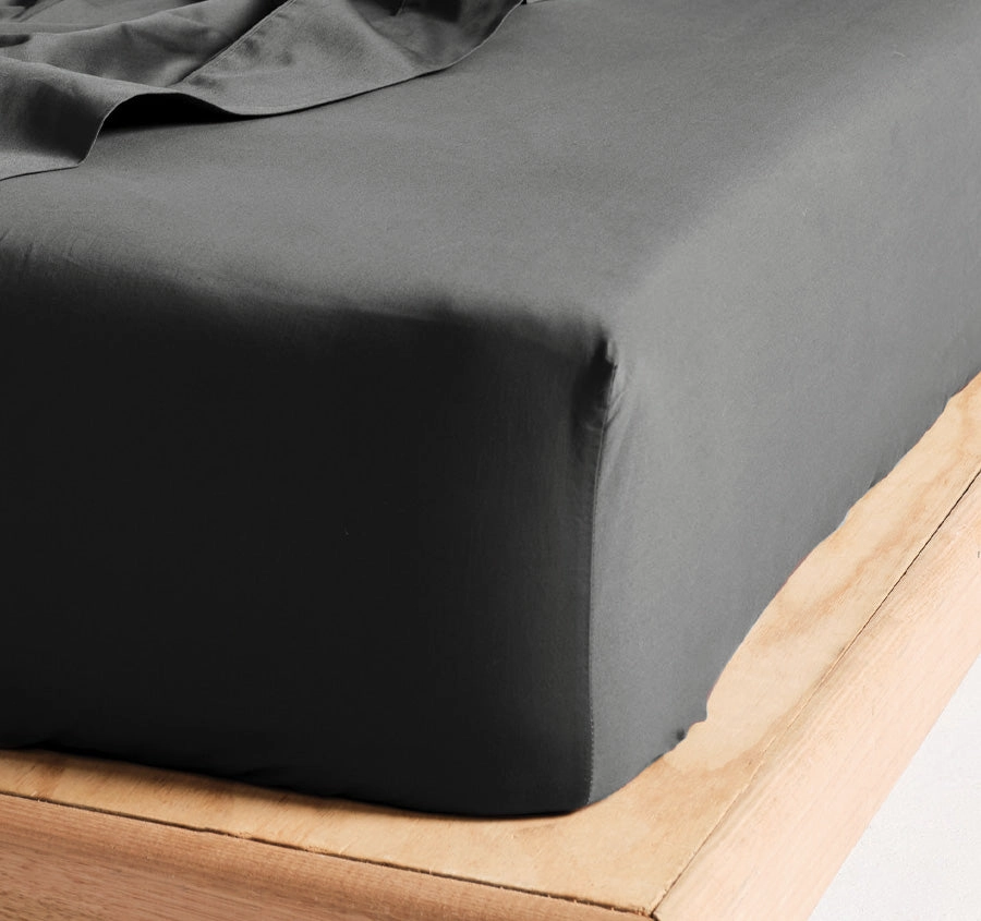 Hotel Augusta 500THC Cotton Sateen Mega Fitted or Flat Sheet Range Magnet