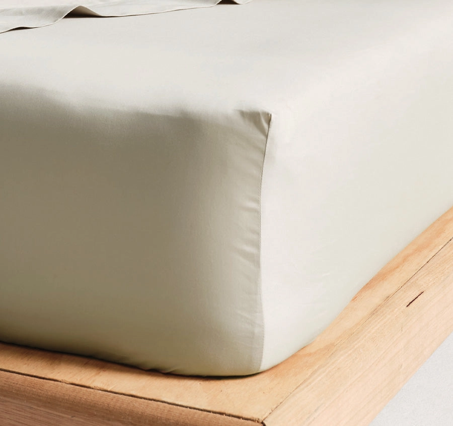 Hotel Augusta 500THC Cotton Sateen Mega Fitted or Flat Sheet Range Taupe