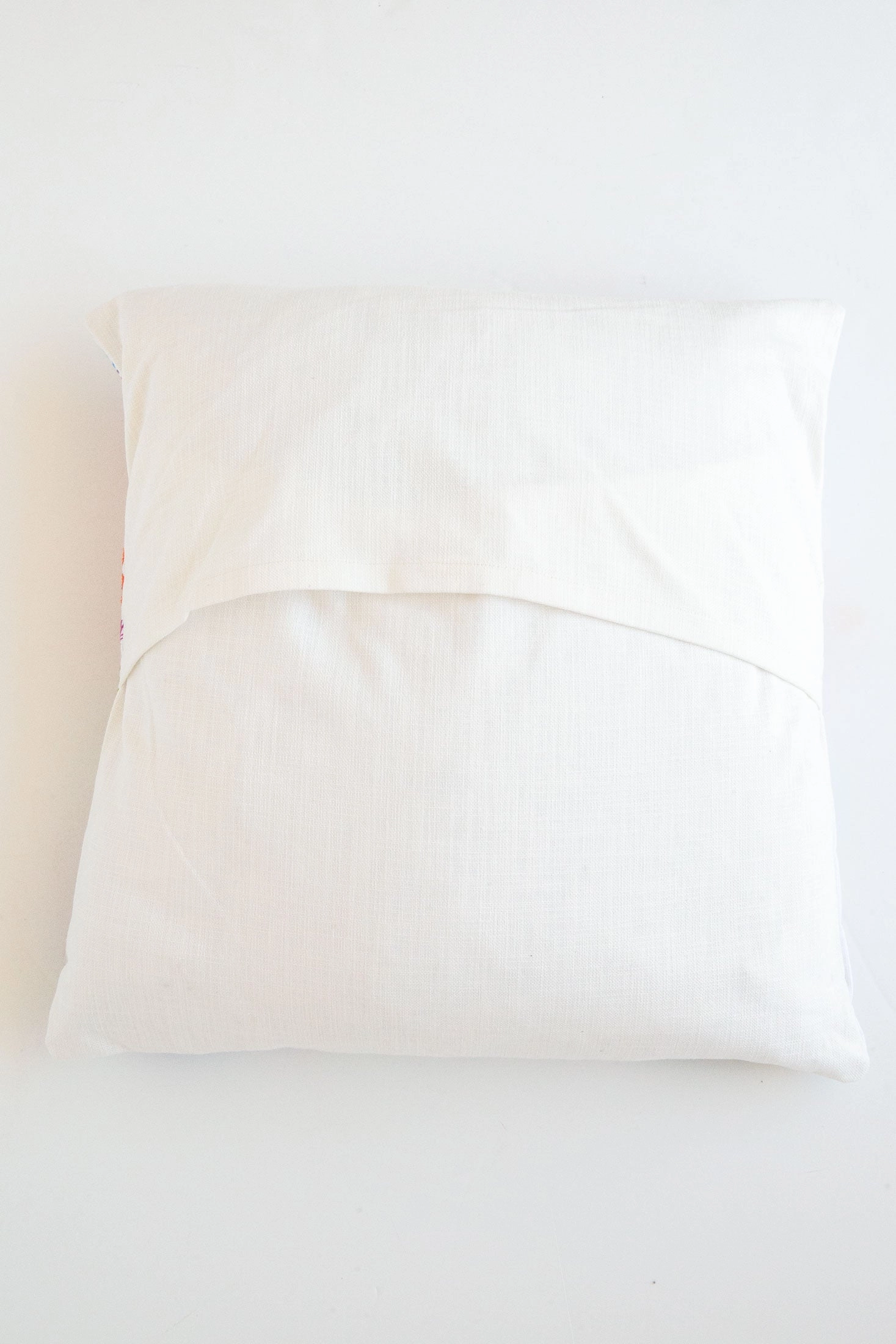 Insectology Cushion