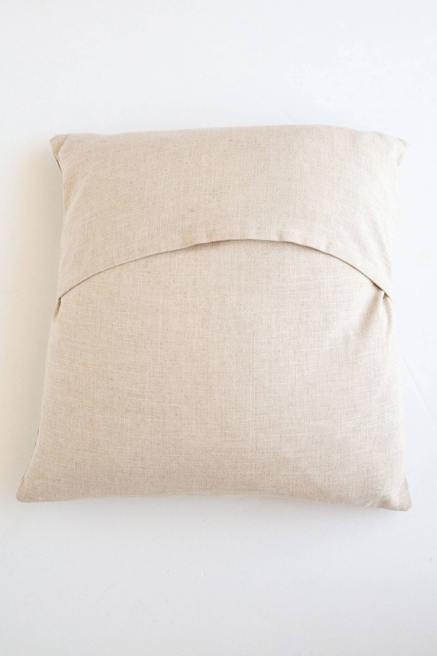 Insects Cushion