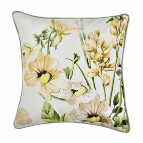 Makayla Filled Cushion Velvet 43x43cm by Bianca