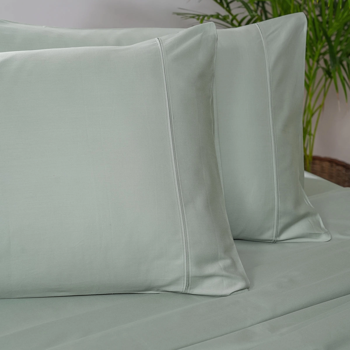 Melina Plain 100% Cotton Extra Soft & Luxurious Bed Sheet with Pillow Case