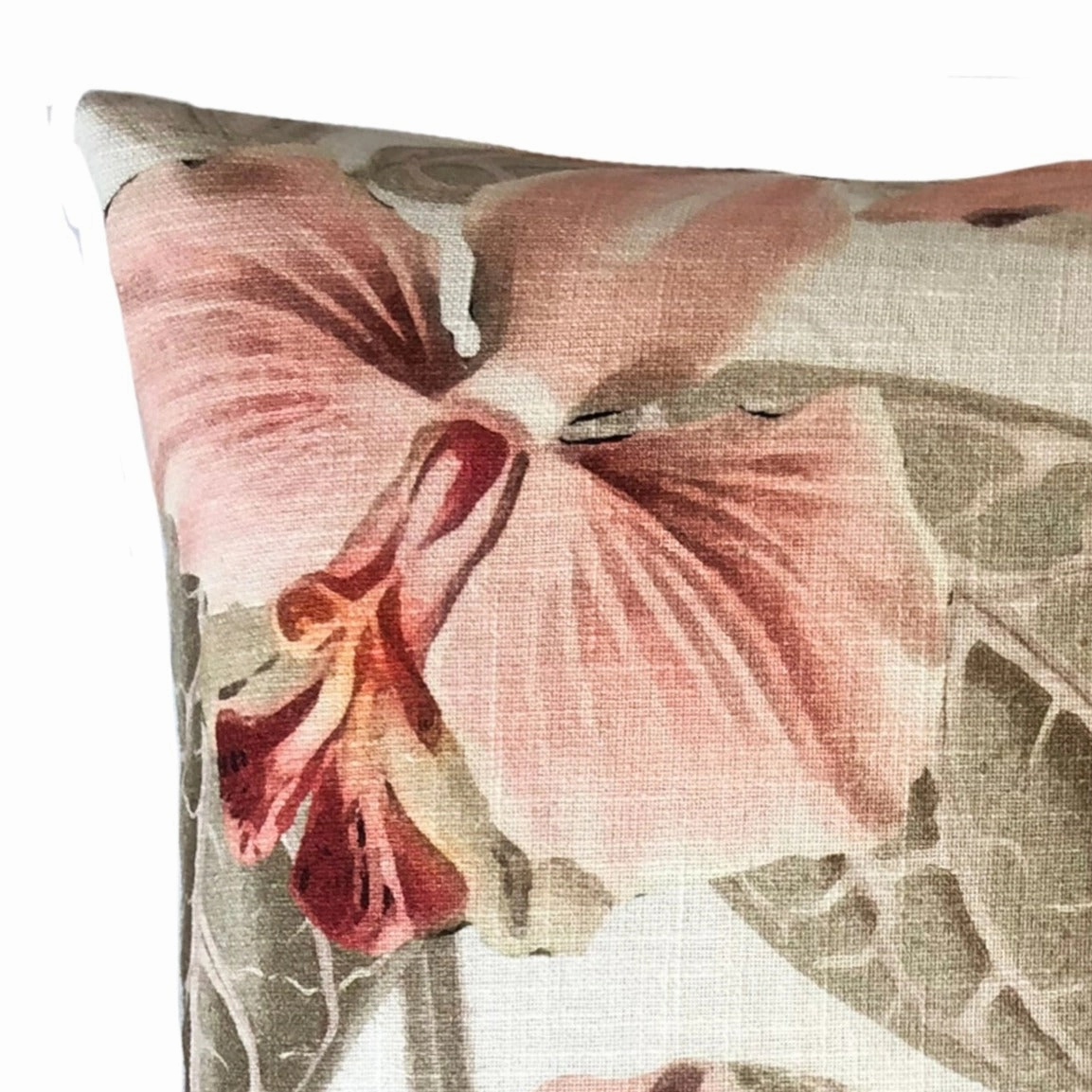 Petunia Blush Square Filled Cushion 50 x 50cm by Zaab