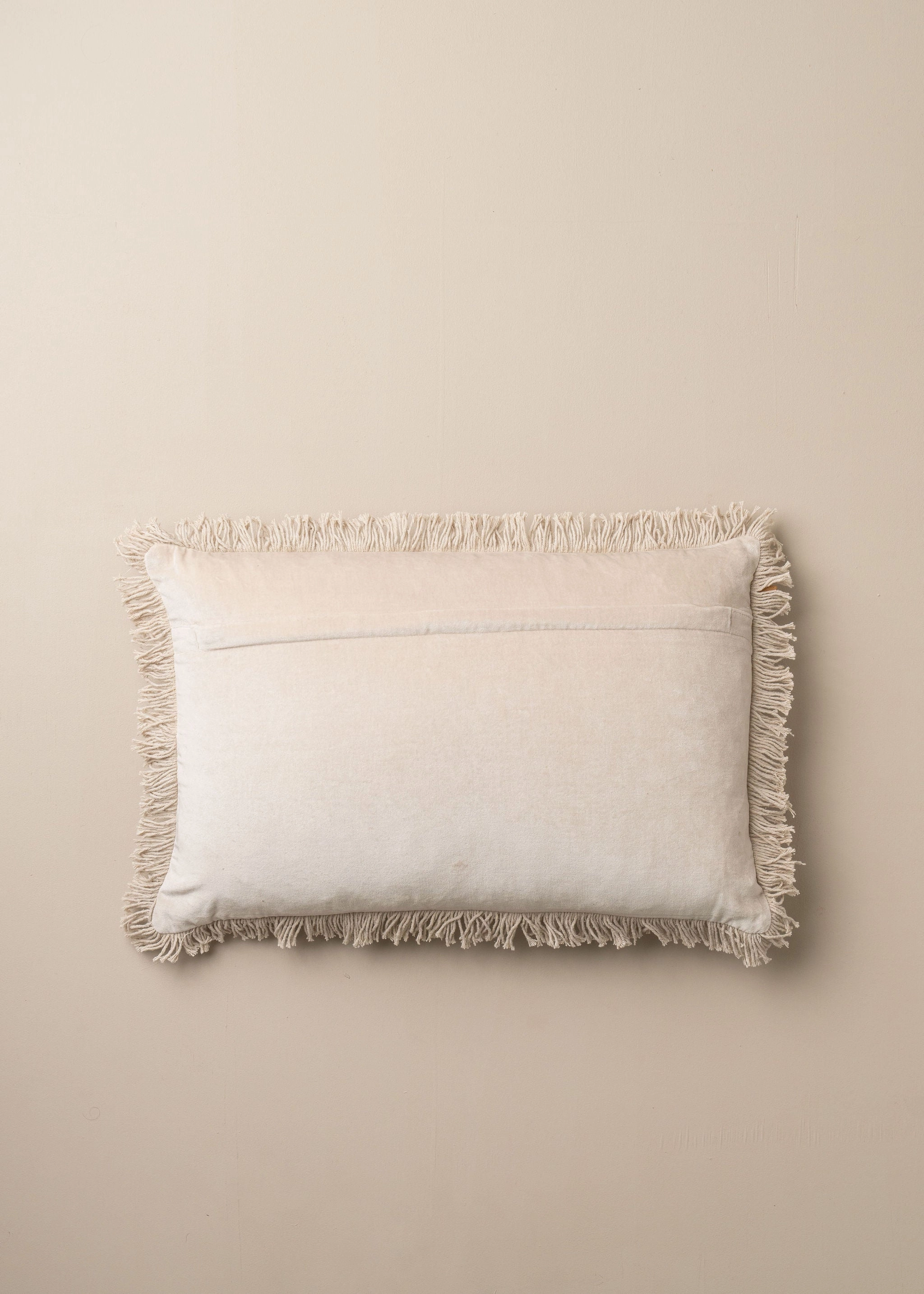 Velvet Cushion | Clay
