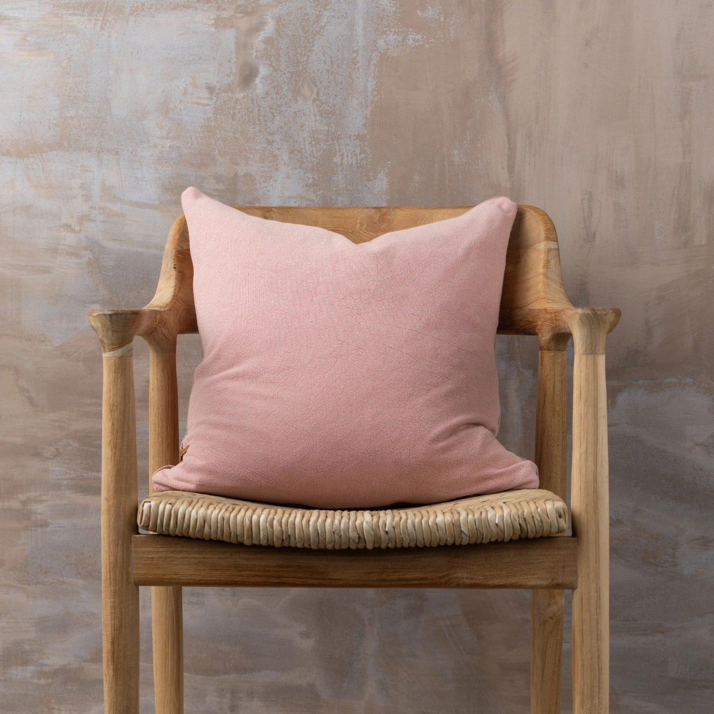 Vintage Wash Cushion | Hacienda