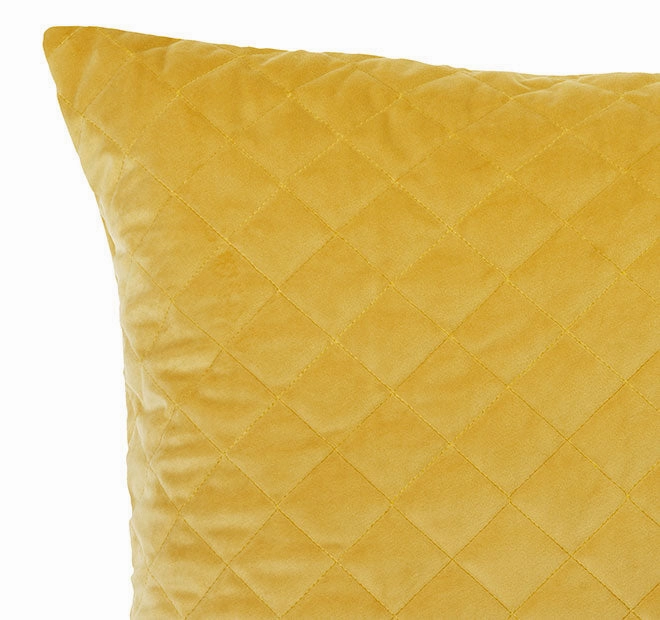 Vivid Coordinates Velvet European Pillowcase Gold