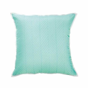 Vivid Mint Coordinates Cushion 43 x 43cm by Bianca